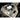 Tomei Oil Pan Baffle Plate Type F2 for Toyota 1JZ-GTE 2JZ-GTE showcasing hinged swing plate system.